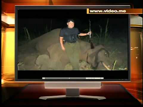 Go Daddy Shoot Elephants – Don’t They?