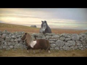 Dance Pony Dance Video