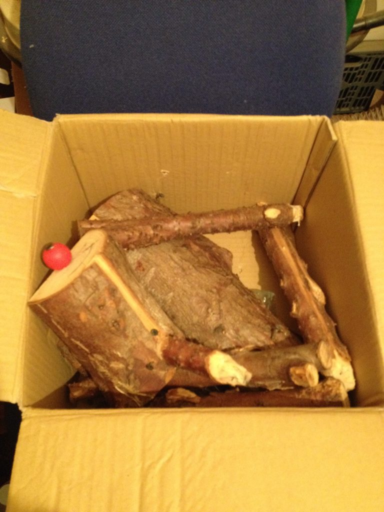 Making A Log Reindeer For Christmas